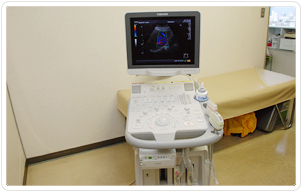 腹部超音波検査の画像